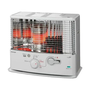 yiz yMZ[2025z gg~ ˌ`ΖXg[u RS-G3024-W drX