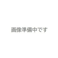 【直送品】 日立 井戸用浄水器 交換用カートリッジ E-25X (PE-25X・25W・25V・25NS・25S専用)