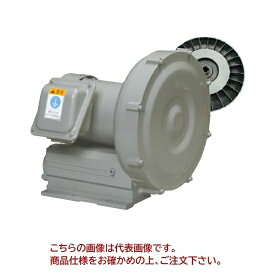 【ポイント5倍】【直送品】 日立産機 ボルテックスブロワ Eシリーズ 単相100V 50/60Hz VB-003S-E2 (1973-2130)