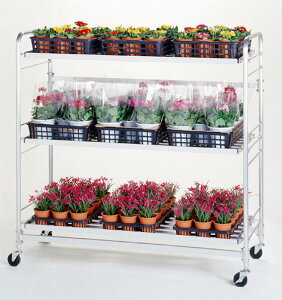 y|Cg5{zyiz {G쏊 (HONKO) ؉׃J[S~j KC-02M s@t y^z