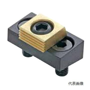 y|Cg5{zC}IR[|[V RpNgg[Nv MBCTC10