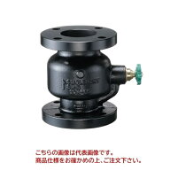 【ポイント5倍】【直送品】 イシザキ スモレンスキ チャッキバルブ 鋳鉄製 SM 10K 50A (SM-104) 【大型】