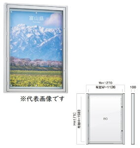 【ポイント5倍】【直送品】 カシイ アルミ製外掲示板 PKA-C-1217-SLC 錠付き/強化ガラス/LED照明あり 【大型】