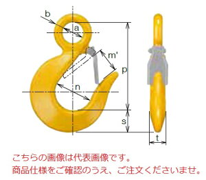 �y�|�C���g10�{�z�y�����i�z �L�g�[ �X�����O�t�b�N HTL4060 �s�L�g�[�`�F���X�����O100�y�J�i�O���ށz(�A�C�^�C�v)�t