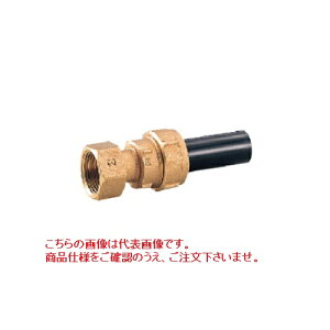 y|Cg10{zLbc (KITZ) [^p\Pbg (㐅˂) WJV-MS 25 [NWCg sut