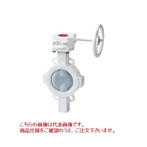 �L�b�c (KITZ) PFA���C�j���O G-10LJF 50A (2B) �s�o�^�t���C�t