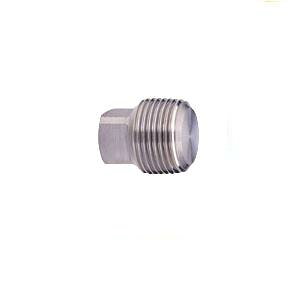 �y�|�C���g10�{�z�L�b�c (KITZ) �v���O(SCS304�ESCS13A) PP 15A (1/2B) �s�X�e�����X�|�t