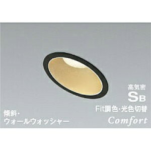 yiz RCY~Ɩ CSB_ECg AD1237B99 yʁz