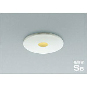 yiz RCY~Ɩ CSB_ECg AD40452L yʁz