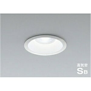 yiz RCY~Ɩ CSB_ECg AD54044 yʁz