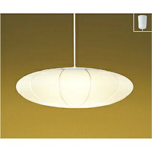 yiz RCY~Ɩ ay_g AP50313 yʁz