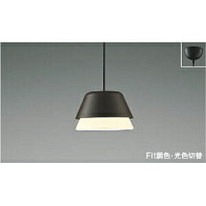 yiz RCY~Ɩ y_g AP51169 yʁz