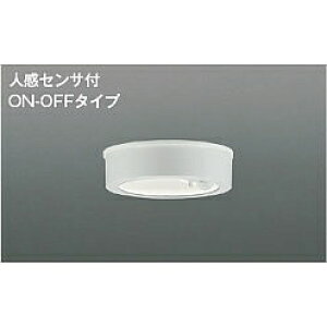 yiz RCY~Ɩ hJ^V[O AU50487 yʁz