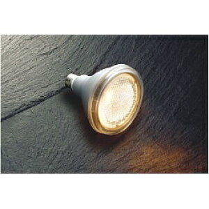 �y�|�C���g10�{�z�y�����i�z �R�C�Y�~�Ɩ� LED�����v AE55042 �y�����ʁz