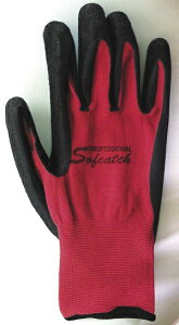 y|Cg10{zӂ \tLb`v bh MTCY A-361 (104-78403)