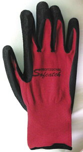 y|Cg10{zӂ \tLb`v bh LTCY A-361 (104-78404)