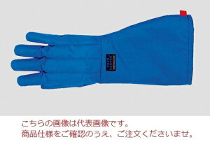 ACVX NCIO[u h^Cv G{[^Cv STCY TS-EBS (304-0000400)