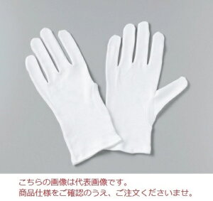 ECZX Ȏ STCY(12oܓ) S (104-23101)