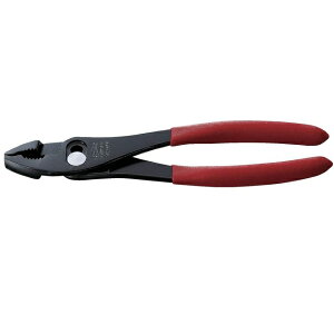 y|Cg10{zuebNX (Gr) lWAMX gObv TG200NA