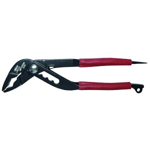 y|Cg5{zuebNX (Gr) nCubhAMX UWP200DNA