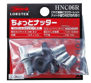 y|Cg10{zuebNX (Gr) nhib^[ ƃib^[(M6p) HNC06R