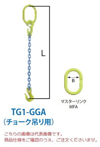 y|Cg5{zyiz }[ebN `F[XO 1{݂Zbg(`[N݂p) TG1-GGA 10mm S1.5m (TG1-GGA-10-15)