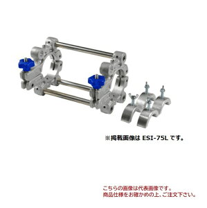 yiz MCCR[|[V \PbgNv ESI-100L (h^Cv)Ci[t