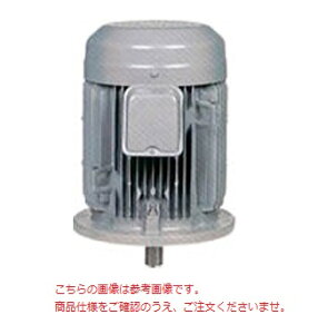 �y�|�C���g10�{�z�y�����i�z �O�H�d�@ �����\�ȃG�l���[�^ SF-PRV 3.7KW 4P 200V (SF-PRV-3700W-4P) �y��^�z