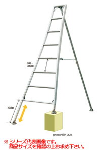 y|Cg5{zyiz iJI (NAKAO) Orߎ|r TLN ̂ёY HSH-300 y^z