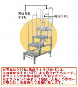 y|Cg5{zyiz iJI (NAKAO) Ki肷 SHG-2 G^p sƑIvVt y^z