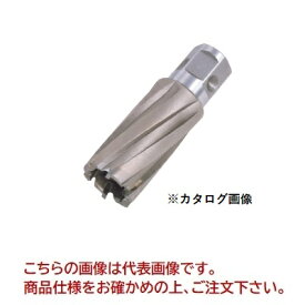 日東工器 ジェットブローチ ワンタッチタイプ 20x50L (16420)