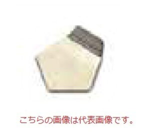 y|Cg5{zyiz I[nEX (OHAUS) F1 OIMLW 91400131 (JCSSZؖt)