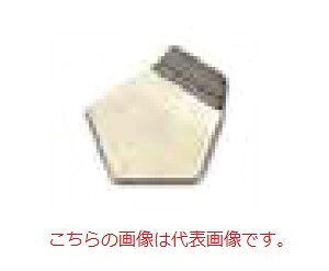 y|Cg10{zyiz I[nEX (OHAUS) F2 OIMLW 91400160 (JCSSZؖt)