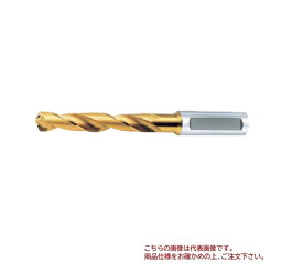 【ポイント10倍】オーエスジー (OSG) EXゴールドドリル 一般加工用油穴付き レギュラ形 EX-HO-GDR 18.9 (64189)