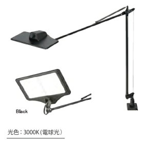 y|Cg5{zXd OLEDfXNCg LEX3102BK/3000K (d)