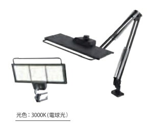 y|Cg10{zXd OLEDfXNCg LEX3132BK/3000K (d)