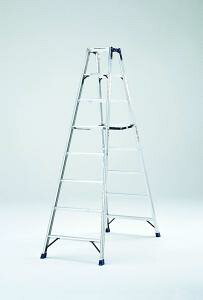 y|Cg10{zyiz PiCa (sJ) pr HM-C180 y^z