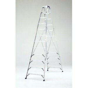 y|Cg10{zyiz PiCa (sJ) pr HM-C300 y^z