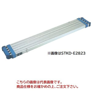 y|Cg10{zyiz PiCa (sJ) ʎgp^Lk u[RpNgXe[W STKD-E2023