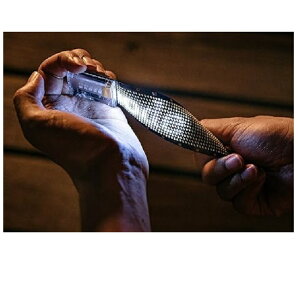 �y�����i�z Flex sign anode �E�F�A���u��LED�f�B�X�v���C DG1248W