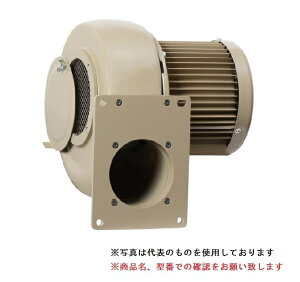 【直送品】 SDG (昭和電機) 電動送風機 マルチシリーズ(FSタイプ) FS-200-R313