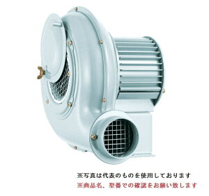 【ポイント5倍】【直送品】 SDG (昭和電機) 電動送風機 汎用シリーズ(SF/SBタイプ) SB-75-R313 (シロッコ)