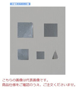y|Cg10{zyiz yz 󕪓iʁF񎥐XeXj F1PS-04M F1