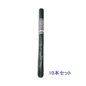 yiz VZC hV[g 1m×10m 315865 O[ y10{z y^z