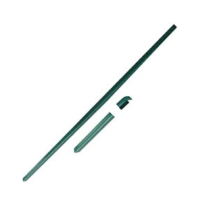 yiz VZC Aj}tFXpL^΂ߎx 4582572511123 y^z