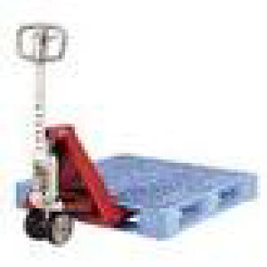 yiz XMX rV nhpbggbN BMP15-48SS (t[^Cv) y^z