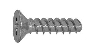 SUNCO jbP TR[^Cg(+)P^Cv@M y10z jbPP^CvT 3.5x12