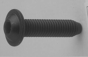 SUNCO �X�e�����X(303�A304�AXM7��) �t�����W�{�^��CAP �y1���z SUS�t�����W�{�^��CAP 8x30