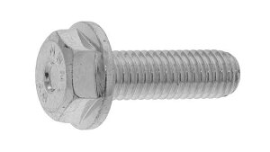 SUNCO �X�e�����X(303�A304�AXM7��) �t�����W�{���g(���Y �y1���z SUS�t�����WBT(�j�b�T�� 8x30