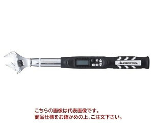 yiz X[p[c[ fW^gN` (P[u)L^Cv DTMW30085